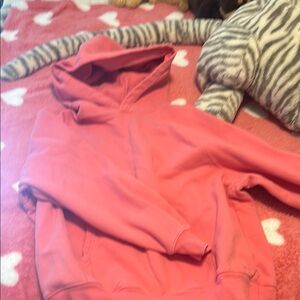 aritzia tna hoodie